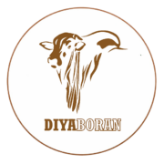 diya-boran diya-boran