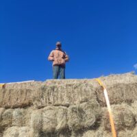 diyaecofarm1 diyaecofarm1
