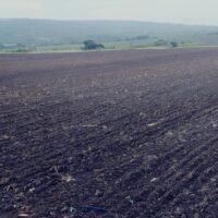 diyaecofarm5 diyaecofarm5