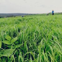 diyaecofarm6 diyaecofarm6