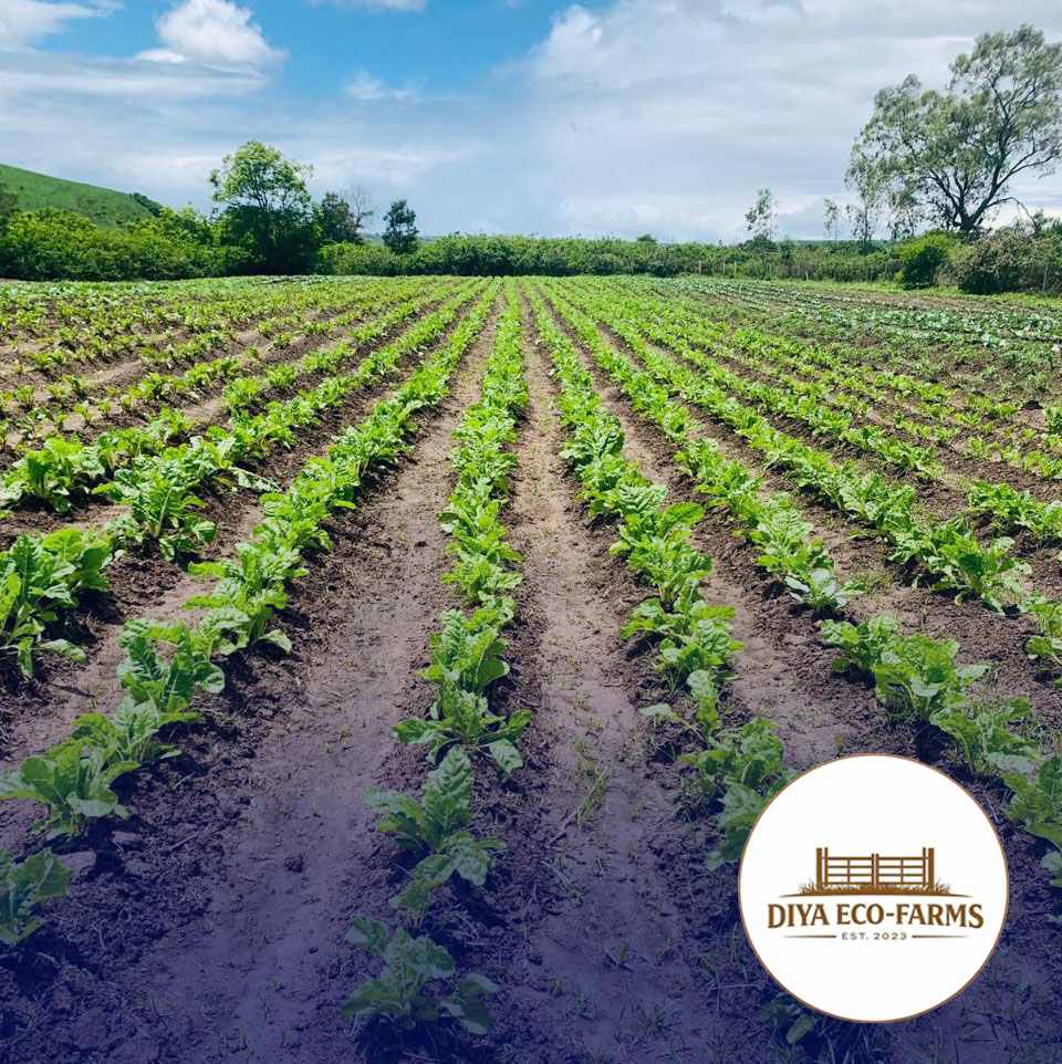 sih-eco-farm
